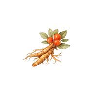 KSM-66® Ashwagandha